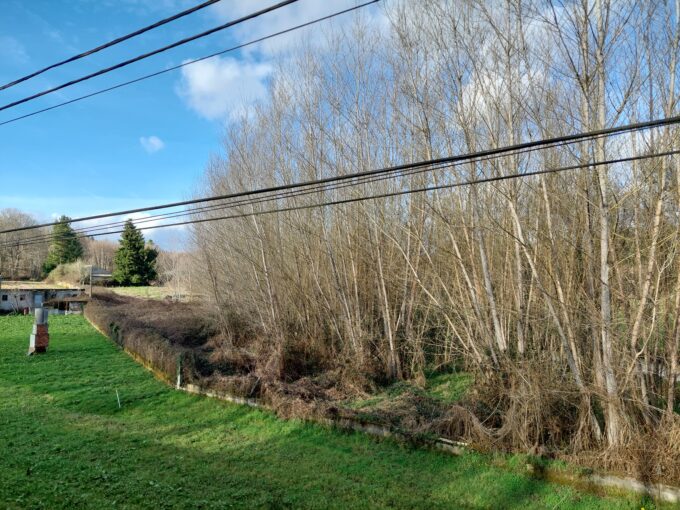 Finca rústica en venta en Coeo, Lugo.