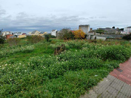 Suelo urbano residencial en Uxío Novoneira, Burela, Lugo.